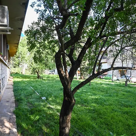 Apartment 4-star Design Bubamara