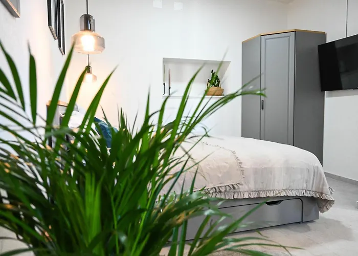 4-star Design Bubamara * زادار