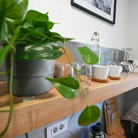 Apartament 4-star Design Bubamara *