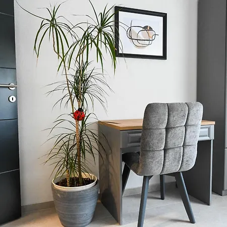 4-star Design Bubamara * Zara